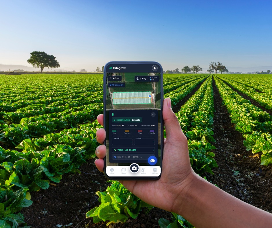 Cómo llevar el monitoreo de plagas en invernadero sin morir en el intento